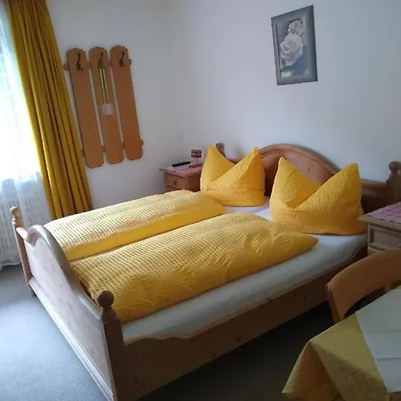 Appartement Haus Traudl à Mayrhofen Extérieur photo