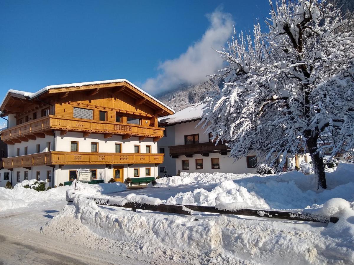 Haus Traudl Appartement